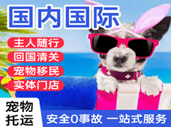 天吉泰机场邮寄国际宠物托运 【国